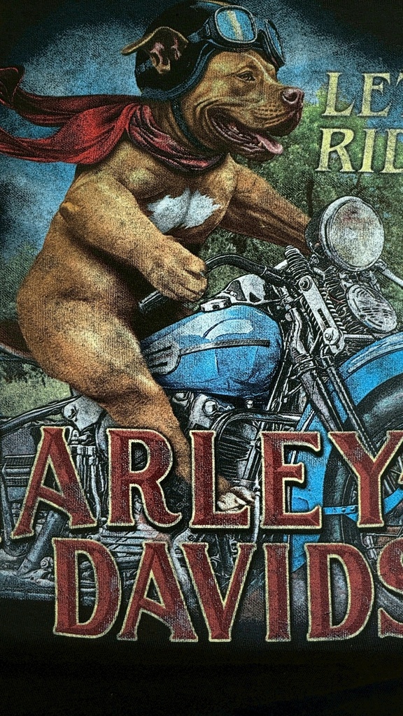 Ruff Rider