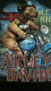 Ruff Rider