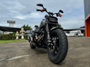 Fat Bob 2024 Billiard Gray