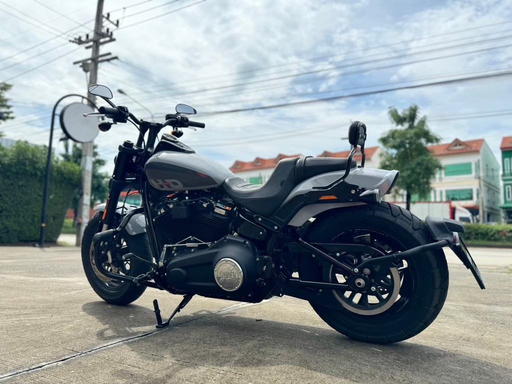 Fat Bob 2024 Billiard Gray