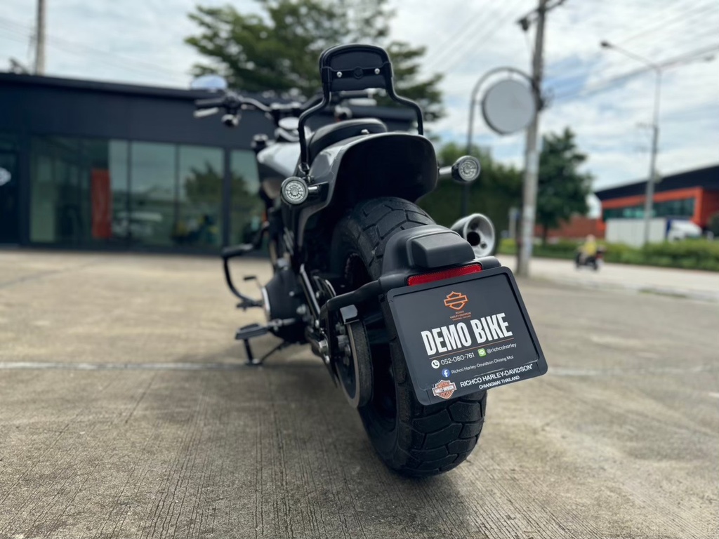 Fat Bob 2024 Billiard Gray