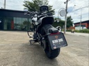 Fat Bob 2024 Billiard Gray