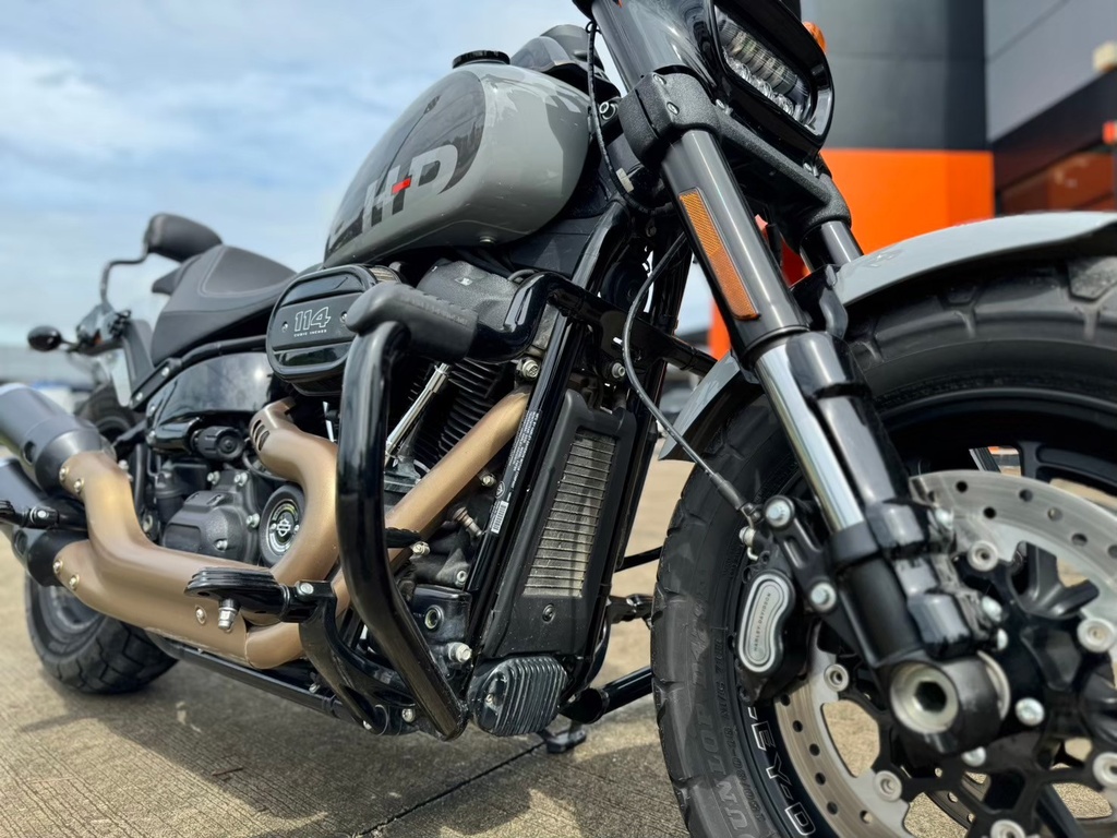 Fat Bob 2024 Billiard Gray