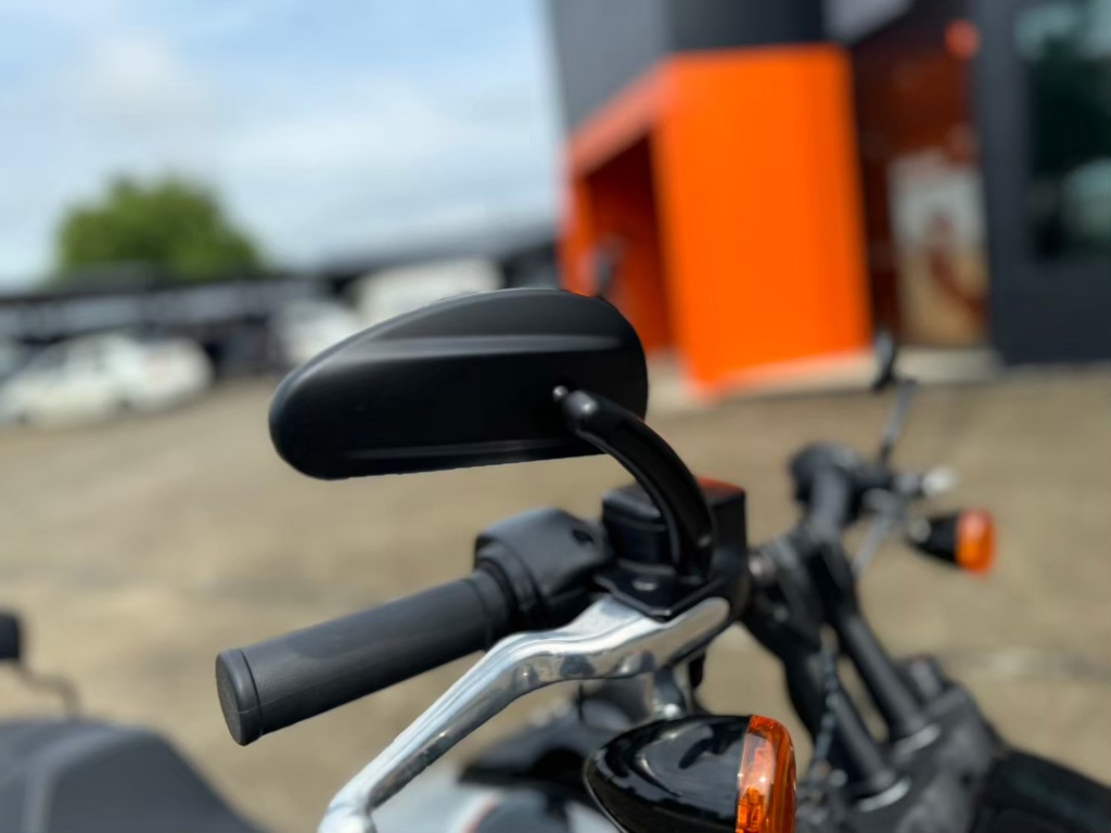 Fat Bob 2024 Billiard Gray