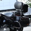 Hydra Glide Revival 2024