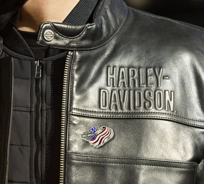 EAGLE FLAG PIN