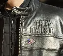 EAGLE FLAG PIN