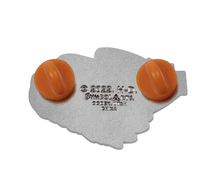 EAGLE FLAG PIN