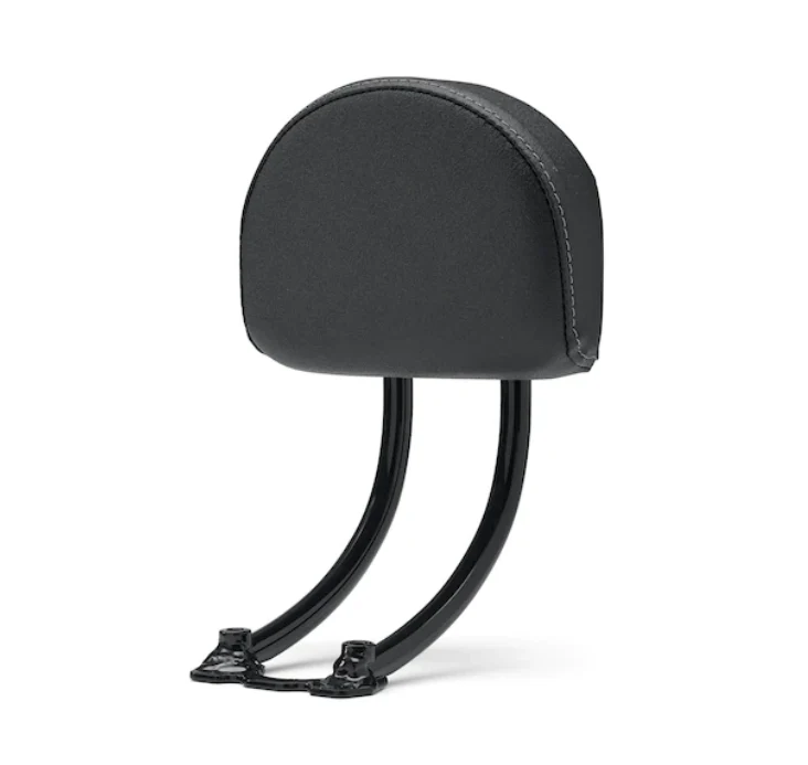 KIT,BKRST,SISSY BAR, LOW