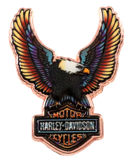 Timeless Eagle Pin