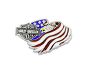 Eagle Flag Pin
