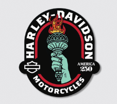 1.5” H-D A250 Patriotic Torch Pin