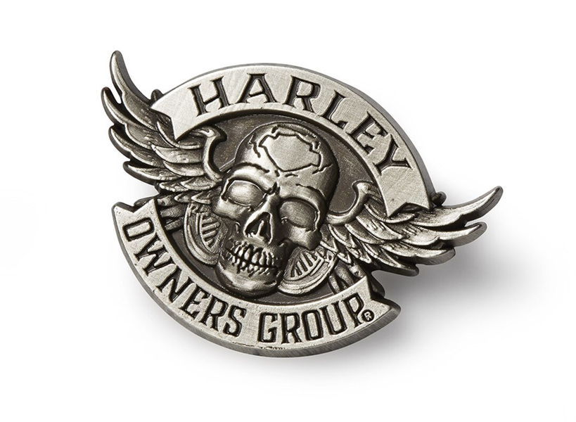 Pin Slv wings skull HOG