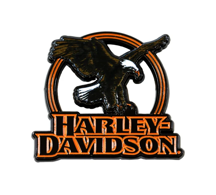 Eagle Eye Cutout Pin