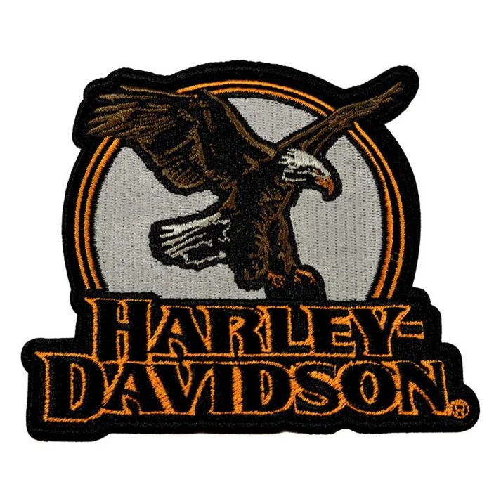 Embroidered Eagle Eye Emblem 4in. Sew-On Patch