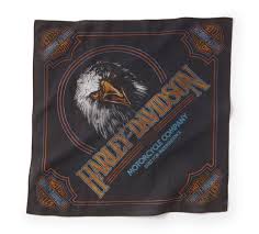 [97699-25VX] Soaring Ride Graphic Bandana