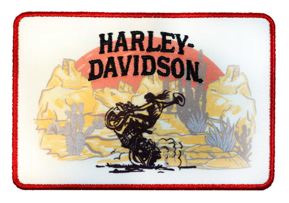 [LSA-02327-6] 4" DESERT RODEO PATCH