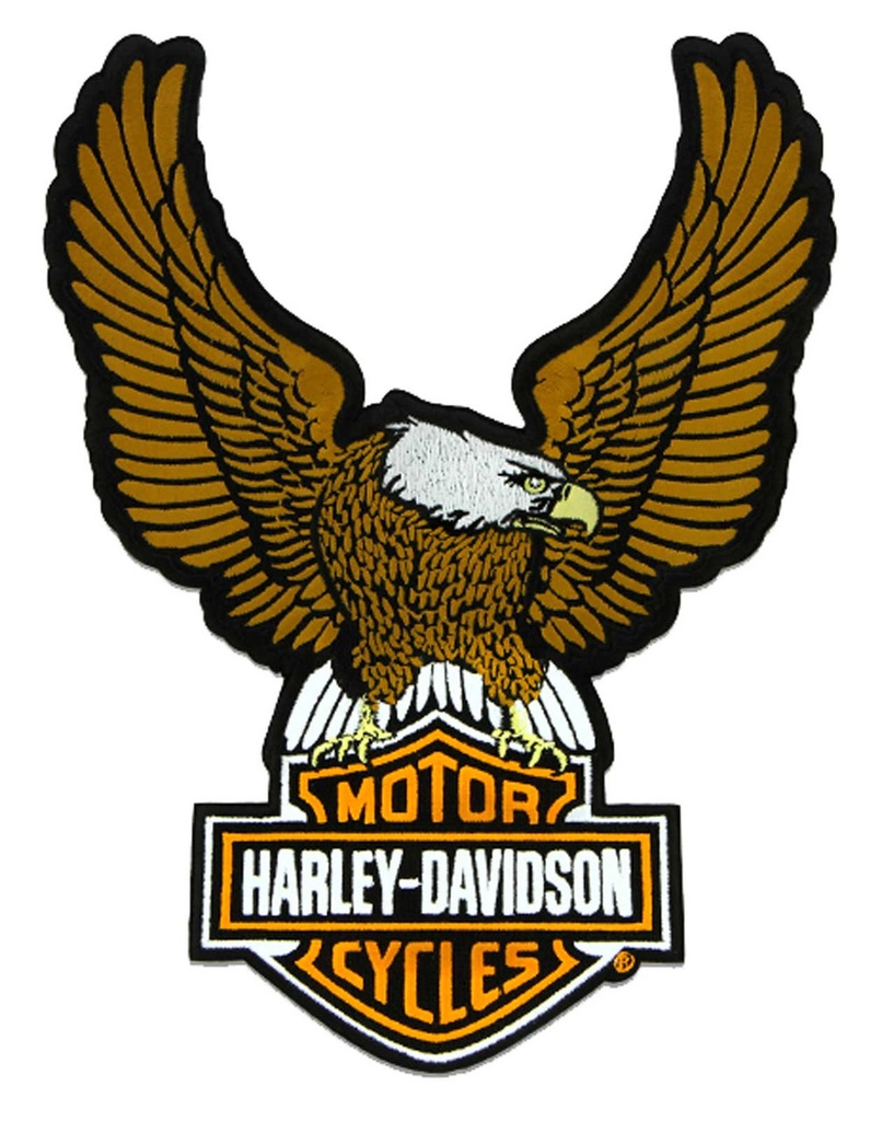 [LSA-02339-9] 10.25in Embroidery Silver Eagle Bar & Shield Emblem Sew-On Patch