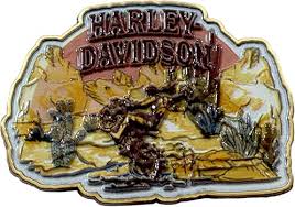 [LSA-224455-1] DESERT RODEO PIN