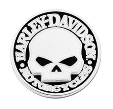 [LSA-224613] PIN 2 Pcs Skull
