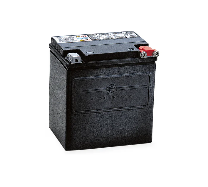 [66000208A] KIT,BAT,12AH