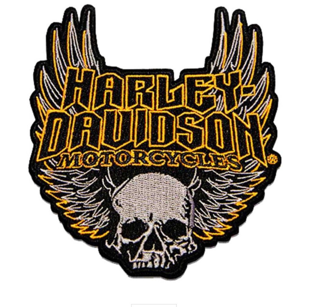 [LSA-02060-2] Skull With Wings Patch 4.5 in